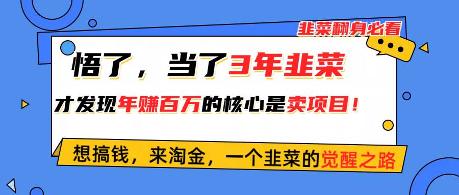 悟了，当了3年韭菜，才发现网赚圈年赚100万的核心是卖项目，含泪分享！-云峥科技网