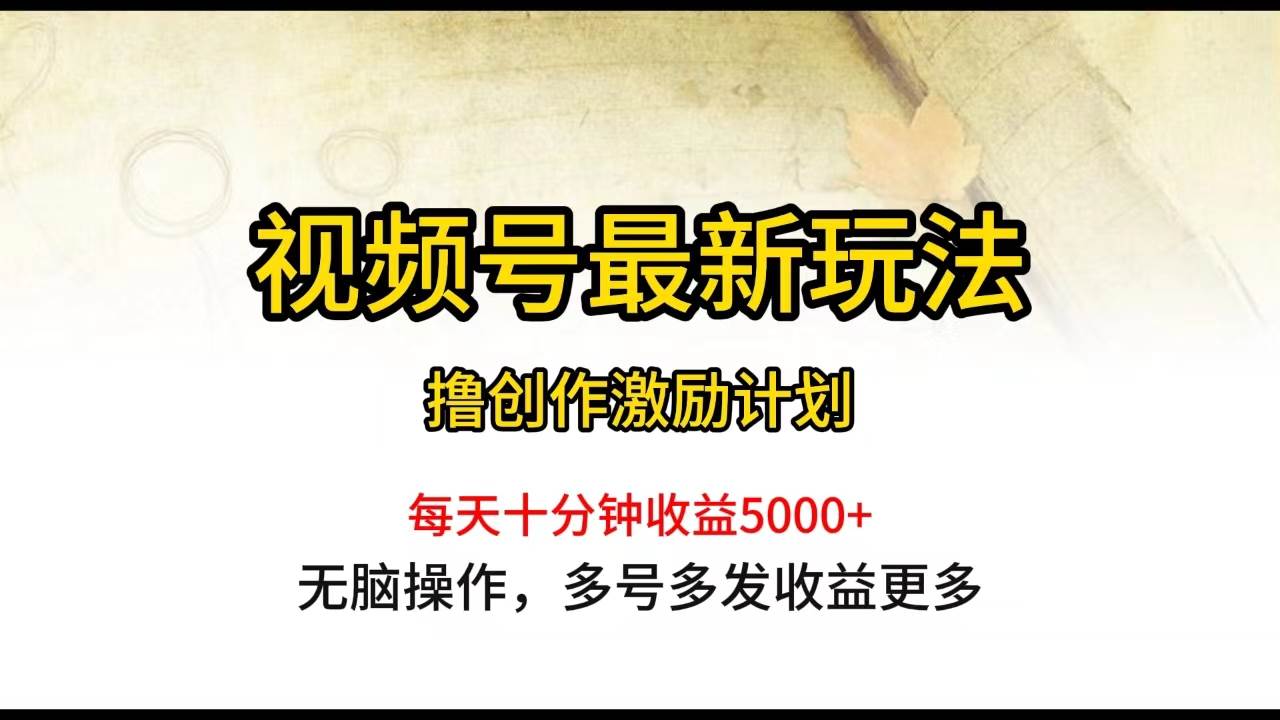 视频号最新玩法，每日一小时月入5000+-云峥科技网