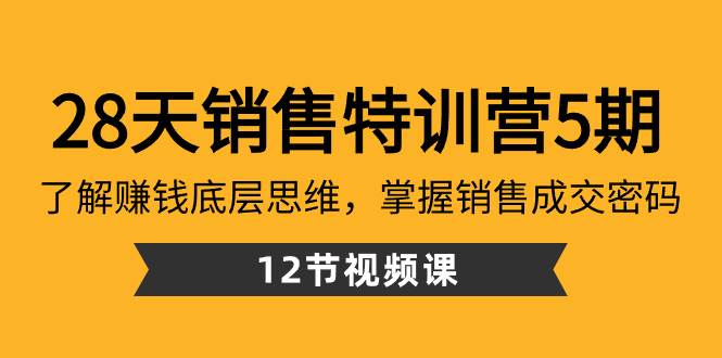 28天·销售特训营5期：了解赚钱底层思维，掌握销售成交密码（12节课）-云峥科技网
