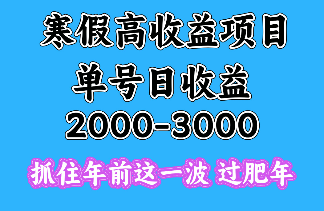寒假期间一天收益2000-3000+，抓住年前这一波-云峥科技网