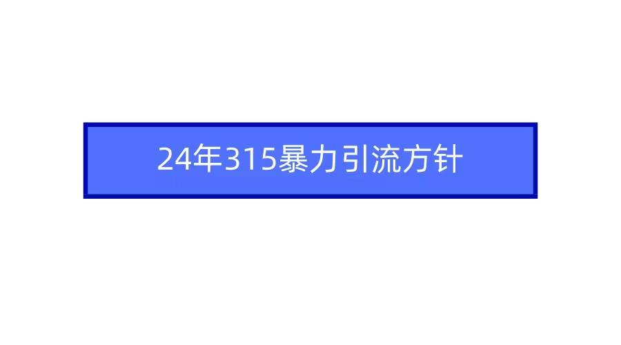 2024年315暴力引流方针-云峥科技网