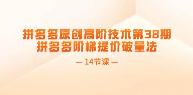 拼多多原创高阶技术第38期，拼多多阶梯提价破量法（14节课）-云峥科技网