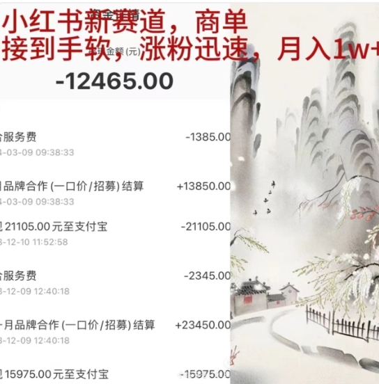小红书新赛道，商单接到手软，涨粉迅速，一个月1w+-云峥科技网