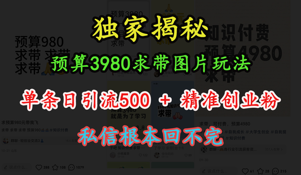 “小红书”预算3980求带 图片玩法，单条日引流500+精准创业粉，私信根本回不完-云峥科技网