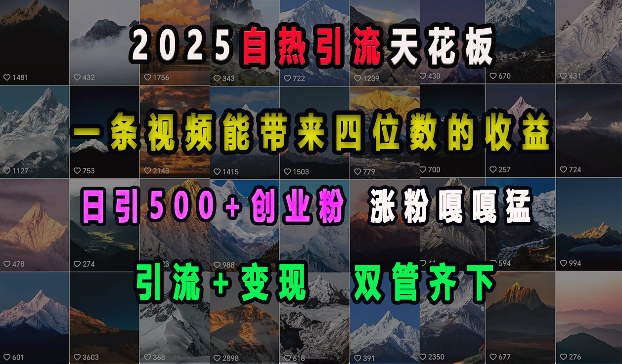 2025自热引流天花板，一条视频能带来四位数的收益，引流+变现双管齐下，日引500+创业粉，涨粉嘎嘎猛-云峥科技网