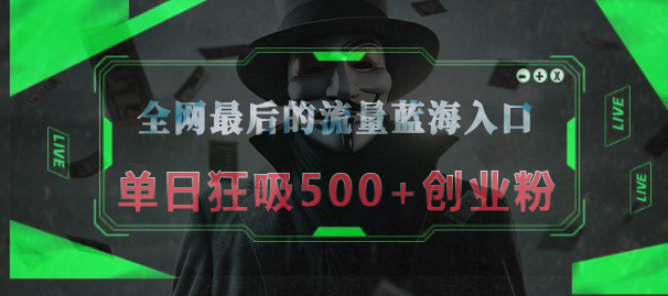 全网最后的流量蓝海入口，半小时引流50+创业粉，单日狂吸500+创业粉-云峥科技网