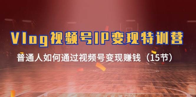 Vlog 视频号IP变现特训营，普通人如何通过视频号变现赚钱（15节）-云峥科技网