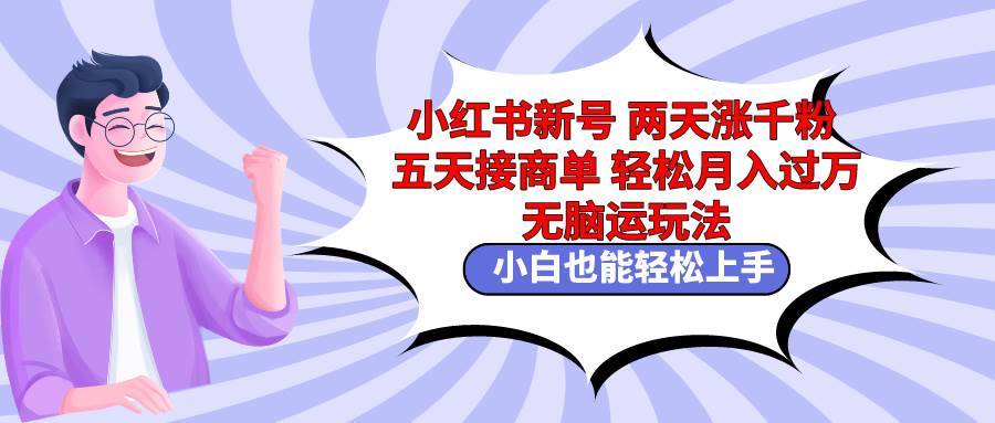 小红书新号两天涨千粉五天接商单轻松月入过万 无脑搬运玩法 小白也能轻...-云峥科技网