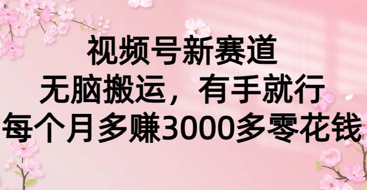 视频号新赛道，无脑搬运，有手就行，每个月多赚3000多零花钱-云峥科技网