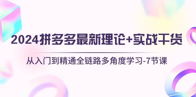 2024拼多多 最新理论+实战干货，从入门到精通全链路多角度学习-7节课-云峥科技网
