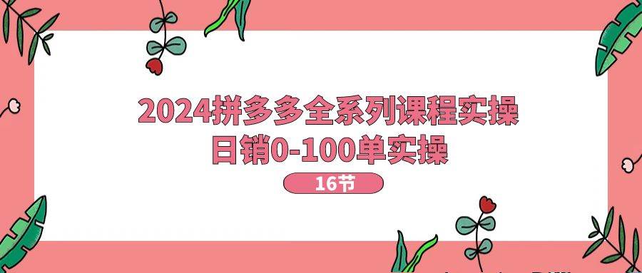 2024拼多多全系列课程实操，日销0-100单实操【16节课】-云峥科技网