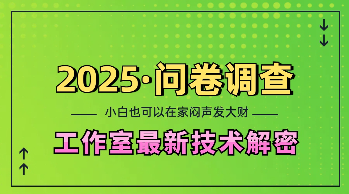 2025《问卷调查》最新工作室技术解密：一个人在家也可以闷声发大财，小白一天200+，可矩阵放大-云峥科技网