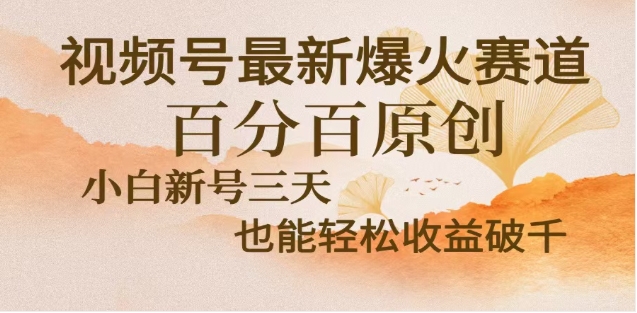 视频号独家玩法，老年养生赛道，无脑搬运爆款视频，日入2000+-云峥科技网