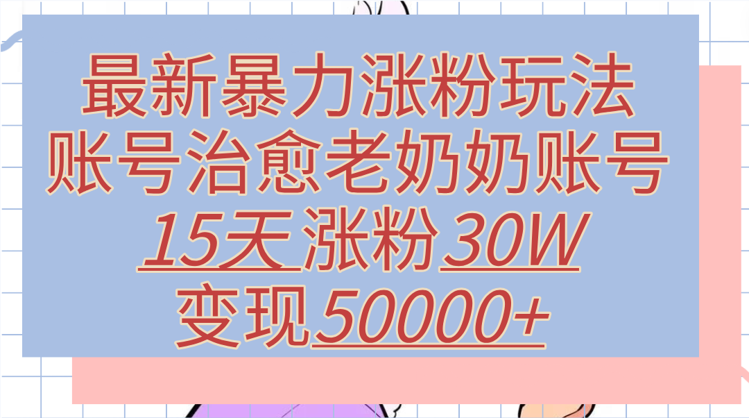 最新暴力涨粉玩法，治愈老奶奶账号，15天涨粉30W，变现50000+【揭秘】-云峥科技网