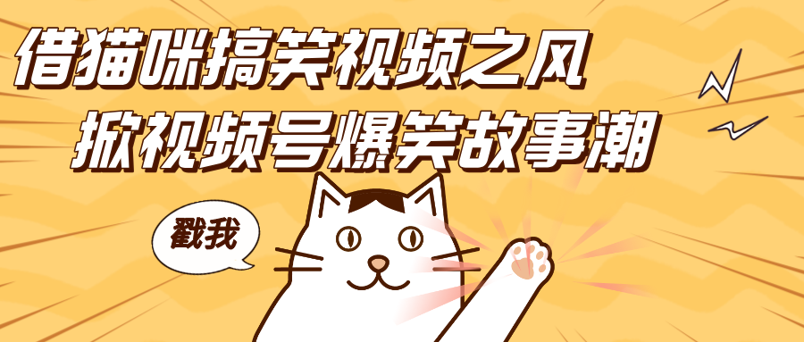 借猫咪搞笑视频之风，掀视频号爆笑故事潮，轻松日赚四位数，开启无门槛赚钱新体验！-云峥科技网