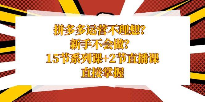拼多多运营不理想？新手不会做？15节系列课+2节直播课，直接掌握-云峥科技网