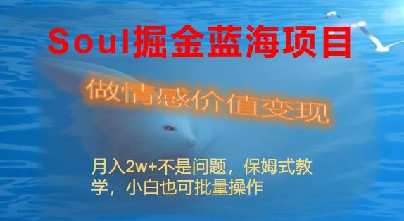 Soul掘金蓝海项目细分赛道，做情感价值变现，月入2w+不是问题-云峥科技网
