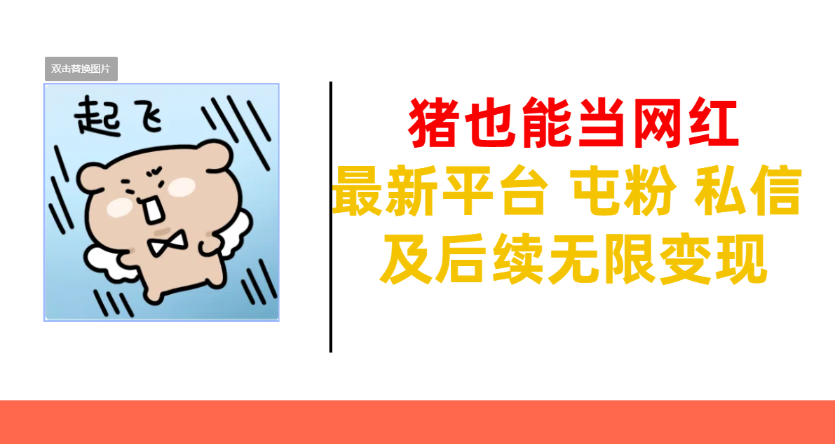 猪也能当网红-最新平台 屯粉 交流 私信 及后续无限变现-云峥科技网