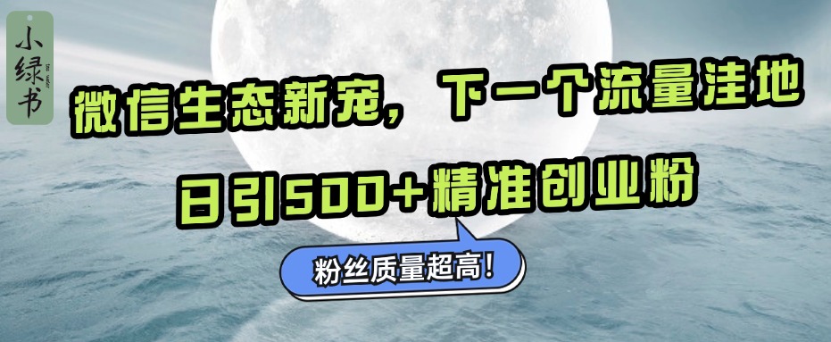 微信生态新宠小绿书：下一个流量洼地，粉丝质量超高，日引500+精准创业粉，-云峥科技网