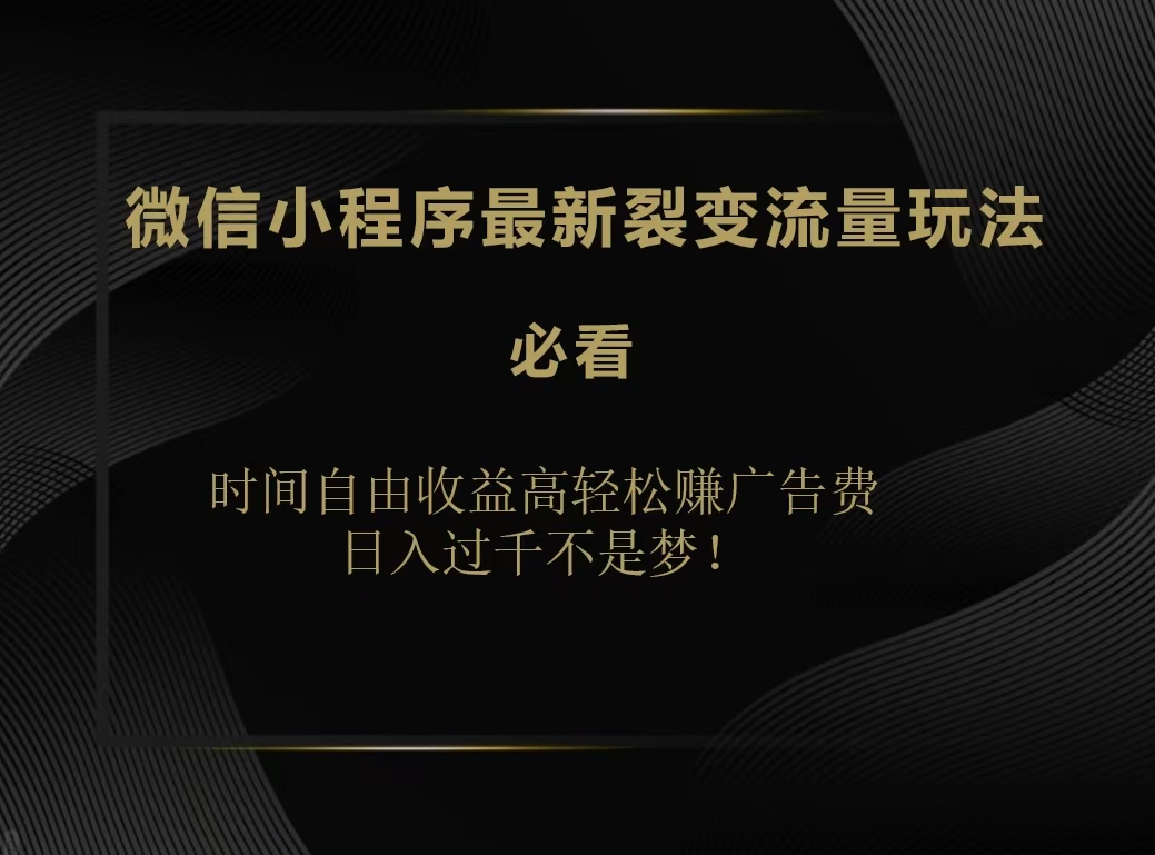 微信小程序最新裂变流量玩法，时间自由收益高轻松赚广告费，日入200-500+-云峥科技网