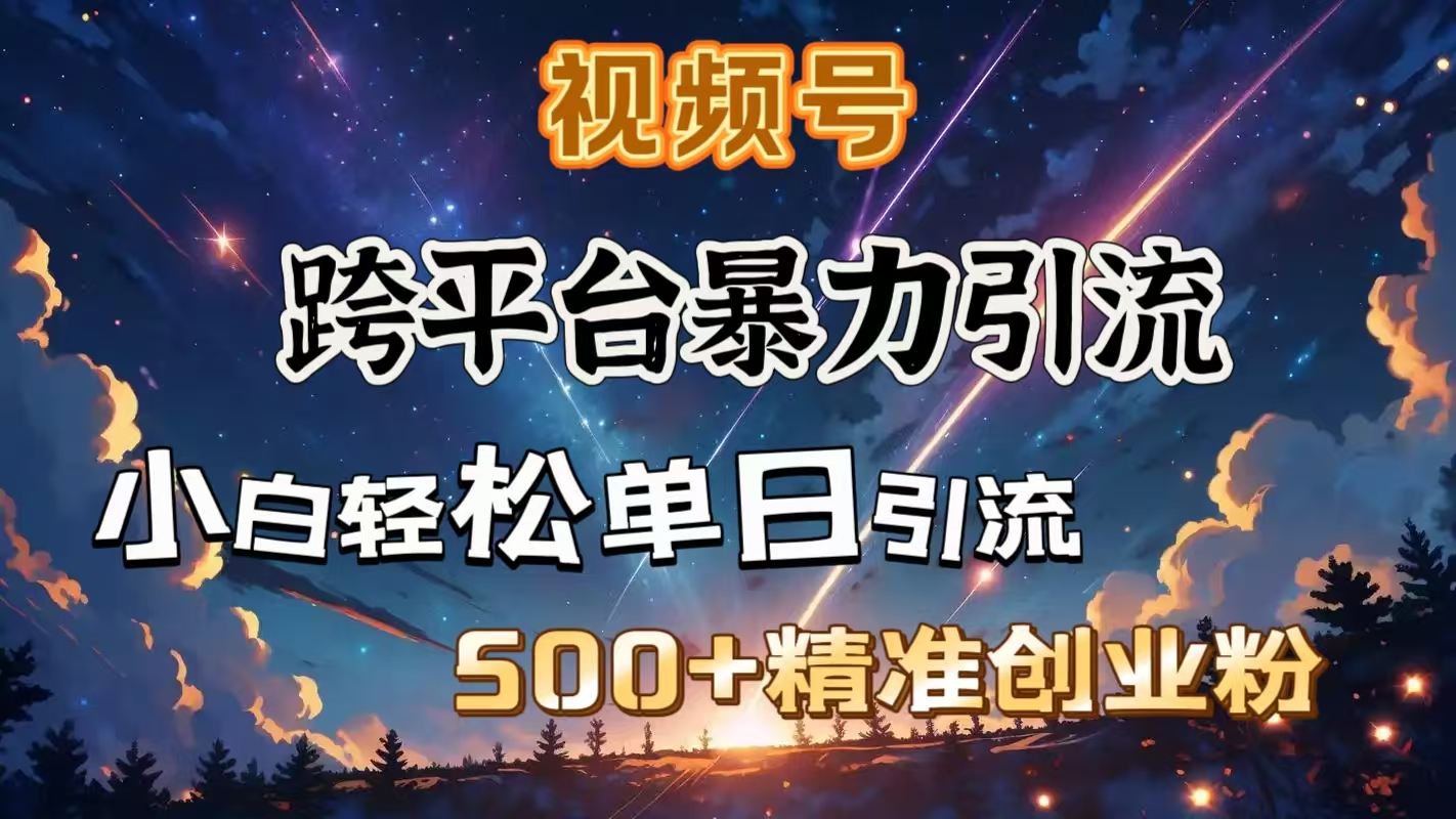 视频号跨平台暴力引流，小白轻松单日引流500＋精准创业粉-云峥科技网