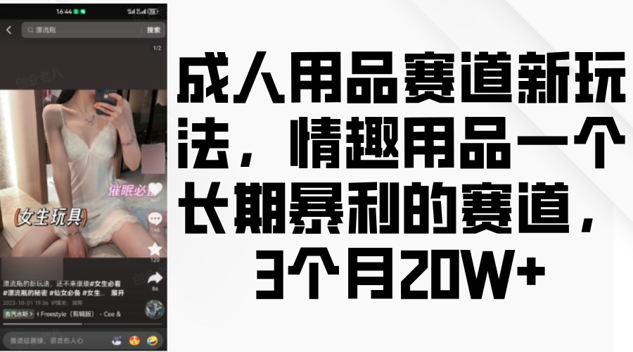 情趣用品一个长期暴利的赛道，成人用品赛道新玩法，3个月20W+-云峥科技网
