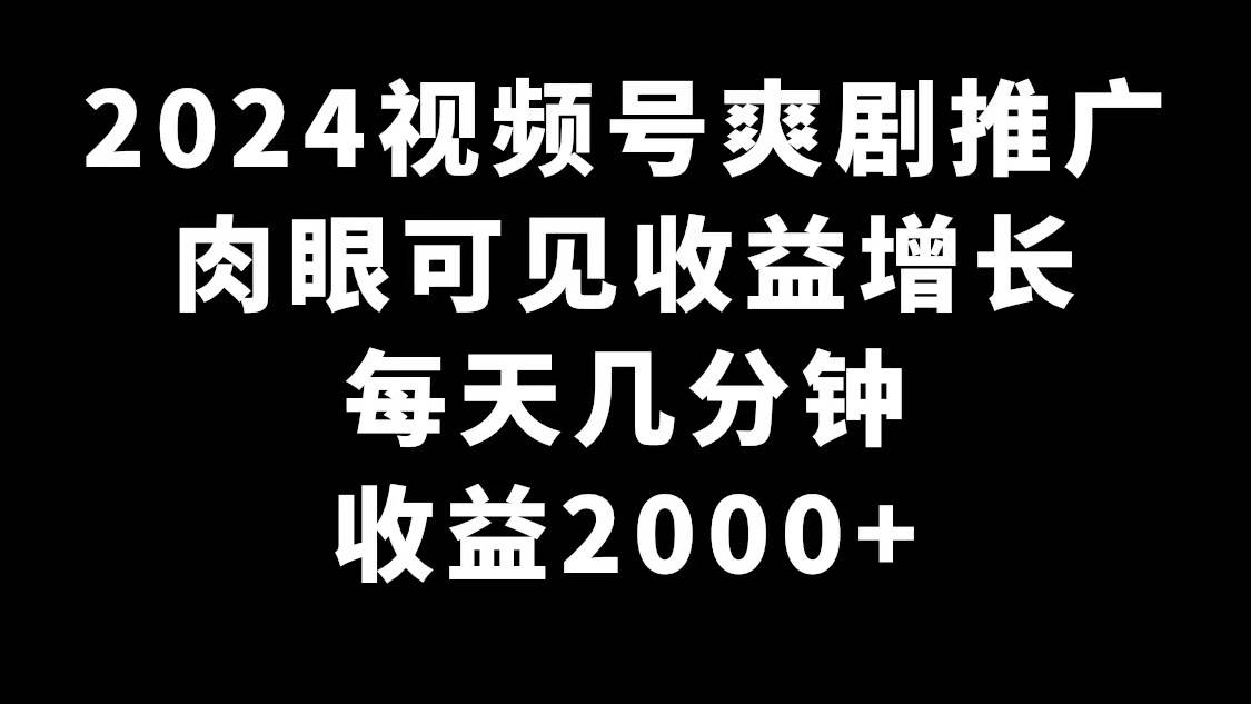 2024视频号爽剧推广，肉眼可见的收益增长，每天几分钟收益2000+-云峥科技网