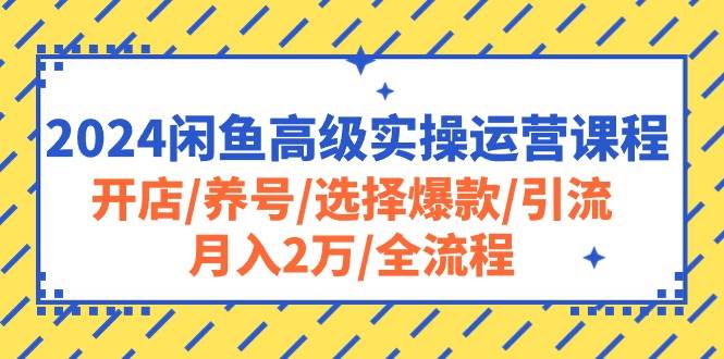 2024闲鱼高级实操运营课程：开店/养号/选择爆款/引流/月入2万/全流程-云峥科技网