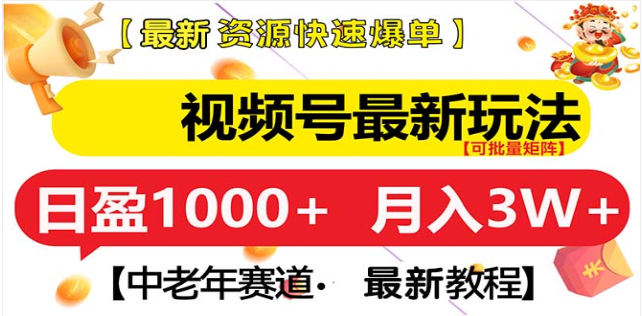 视频号独家玩法，老年养生赛道，无脑搬运爆款视频，日入1000+-云峥科技网