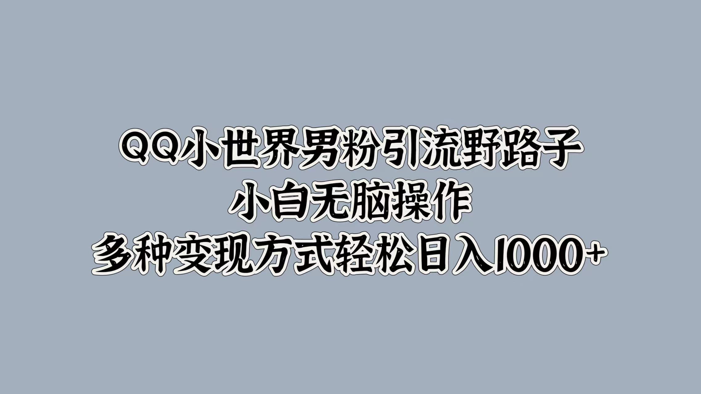 QQ小世界男粉引流野路子，小白无脑操作，多种变现方式轻松日入1000+-云峥科技网