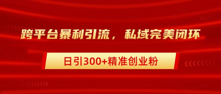 跨平台暴力引流，私域完美闭环，日引300+精准创业粉-云峥科技网