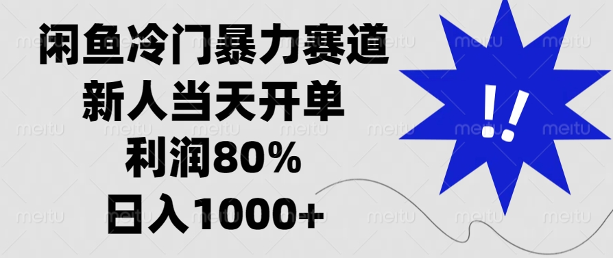 闲鱼冷门暴力赛道，利润80%，日入1000+新人当天开单，-云峥科技网