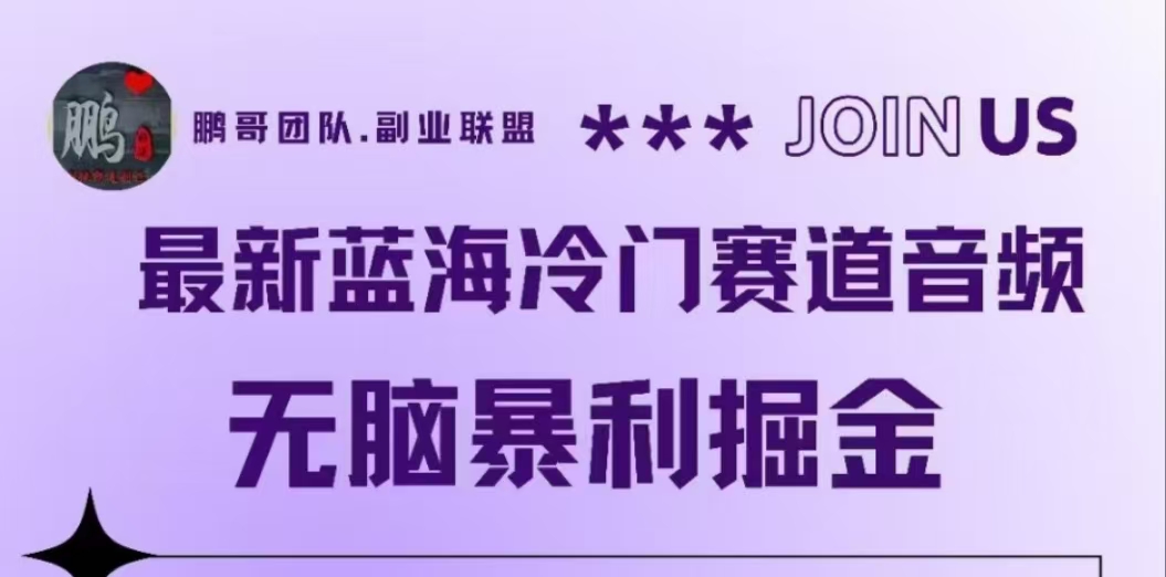 最新蓝海冷门赛道音频，无脑暴利掘金-云峥科技网