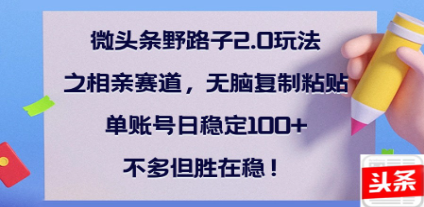 全网首发微头条野路子2.0玩法之相亲赛道，无脑搬砖复制粘贴，单账号日稳定300+保姆级教程-云峥科技网