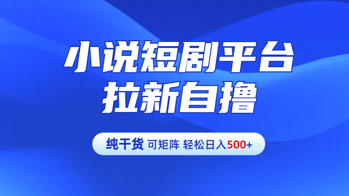 【纯干货】小说短剧平台拉新自撸玩法详解-单人轻松日入500+-云峥科技网
