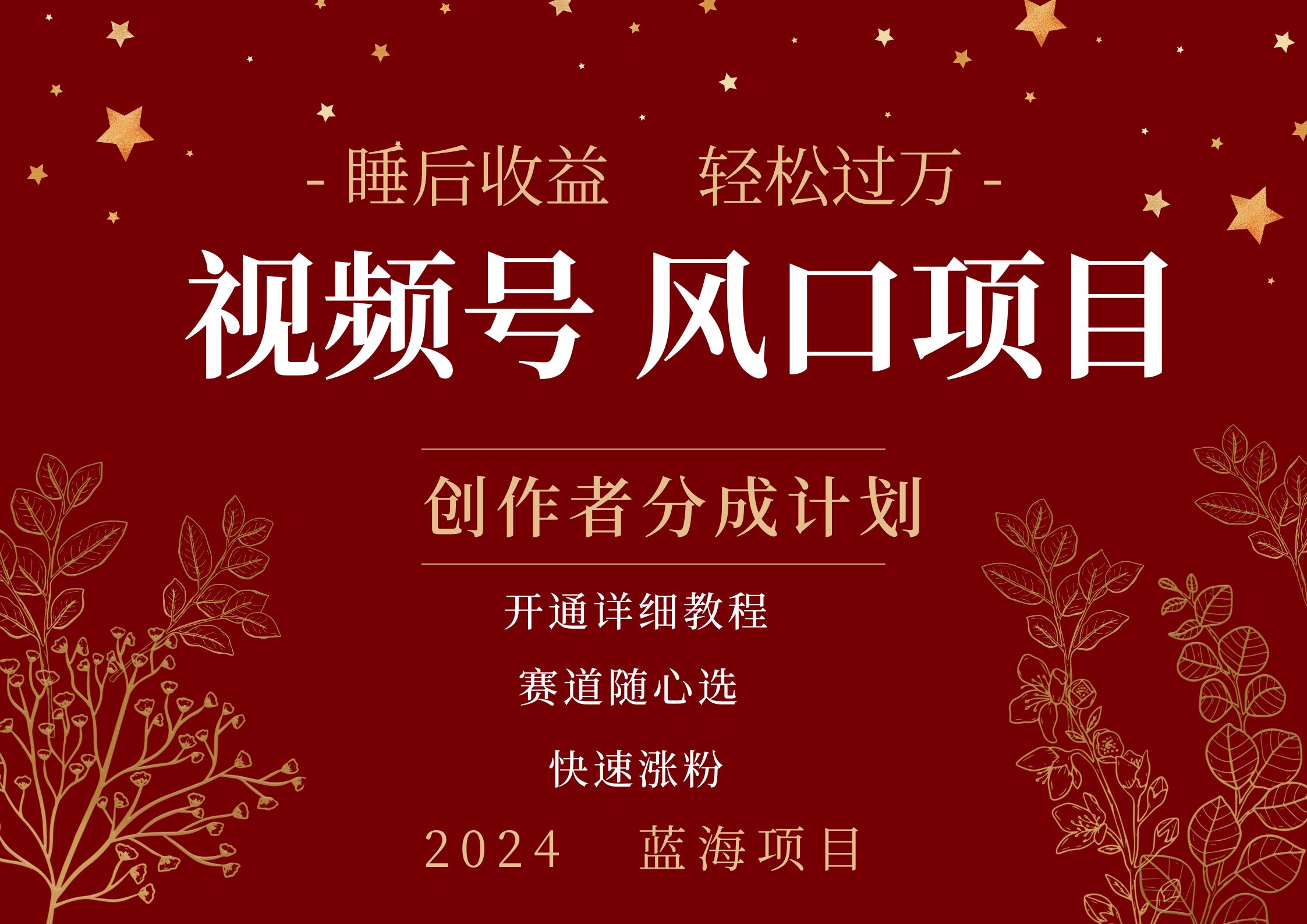 拥有睡眠收益的微信视频号大风口项目，轻松月入过万+，多赛道选择，可矩阵，玩法简单轻松上手-云峥科技网
