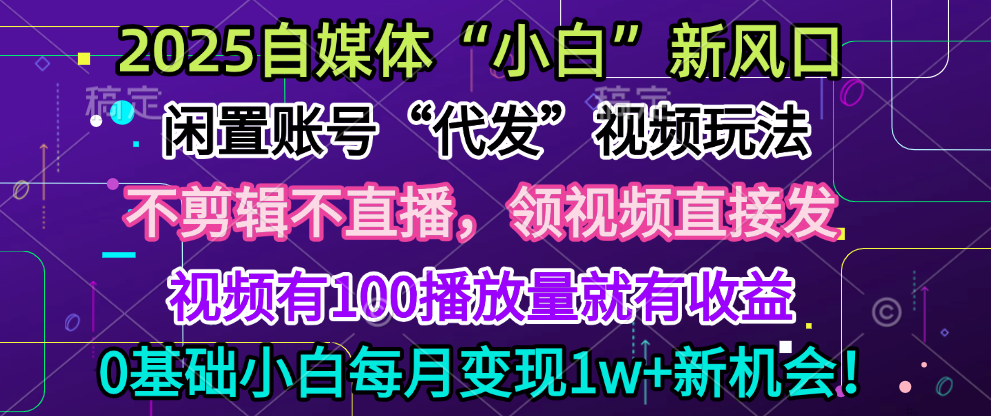 2025每月躺赚5w+新机会，闲置视频账号一键代发玩法，0粉不实名不剪辑，领了视频直接发，0基础小白也能日入300+-云峥科技网