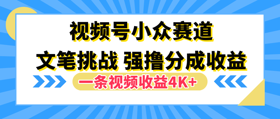 视频号小众赛道，文笔挑战，一条视频收益4K+-云峥科技网