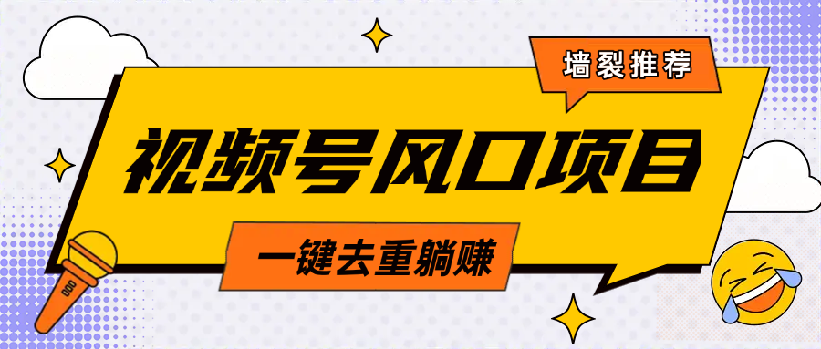 视频号风口蓝海项目，中老年人的流量密码，简单无脑，一键去重，轻松月入过万-云峥科技网