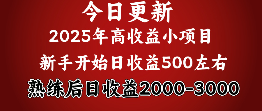2025开年好项目，新手日收益500+ 熟练掌握后，日收益平均2000多-云峥科技网