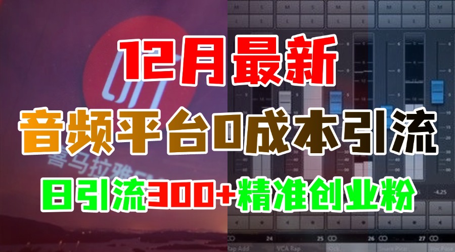 12月最新：音频平台0成本引流，日引300+精准创业粉-云峥科技网