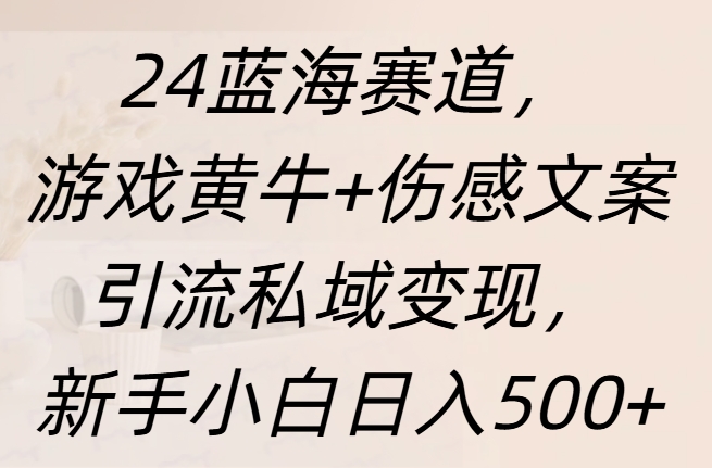 24蓝海赛道，游戏黄牛+伤感文案引流私域变现，新手日入500+-云峥科技网