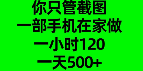 你只管截图，一部手机在家做，一小时120，一天500+-云峥科技网