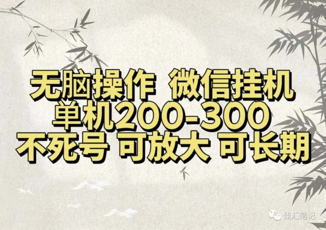 无脑操作微信视频号挂机单机200-300一天，不死号，可放大，工作室实测-云峥科技网