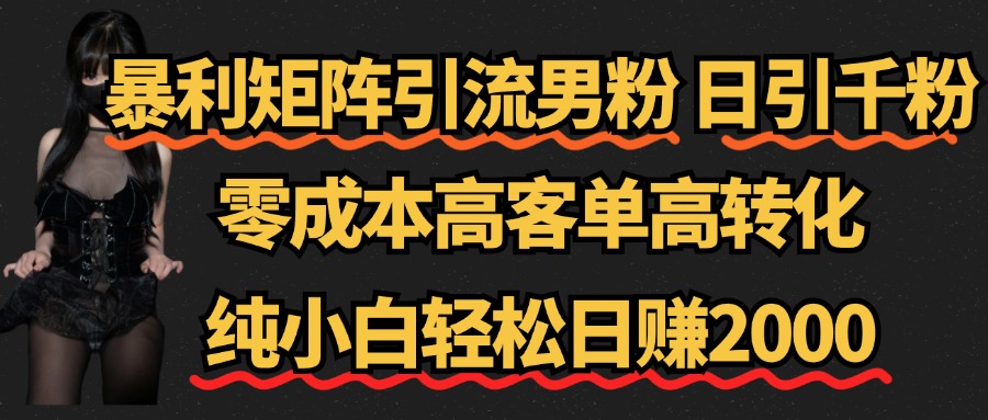 暴利矩阵引流男粉（日引千粉），零成本高客单高转化，纯小白轻松日赚2000+-云峥科技网