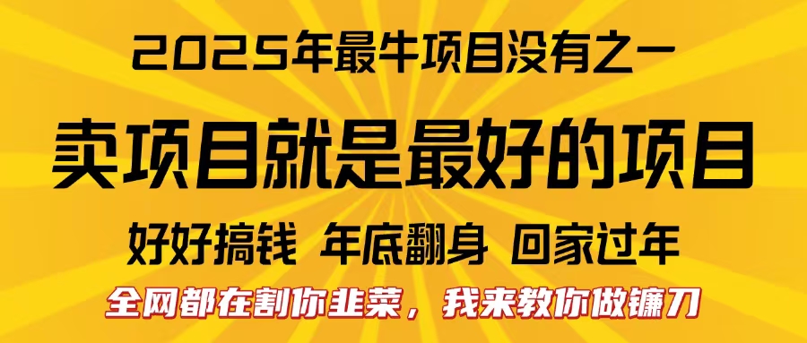 全网都在割你韭菜，我来教你做镰刀。卖项目就是最好的项目，2025年最牛互联网项目-云峥科技网