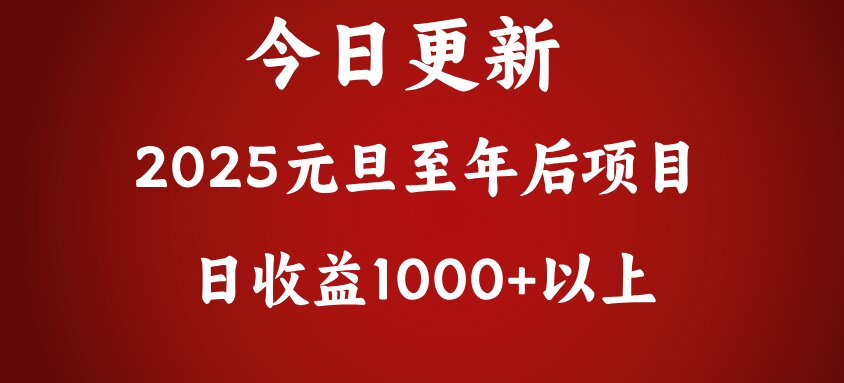 翻身项目，日收益1000+以上-云峥科技网