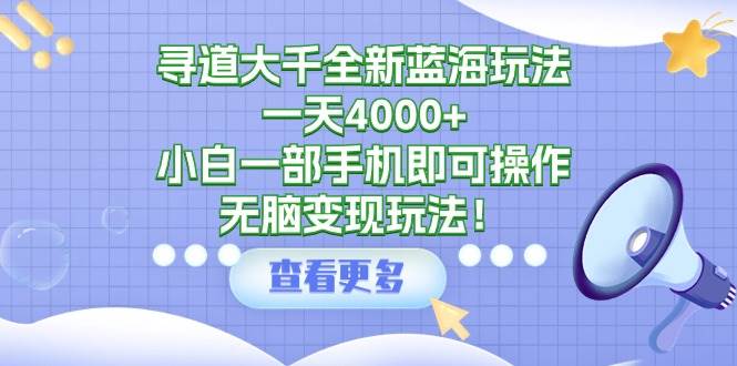 寻道大千全新蓝海玩法，一天4000+，小白一部手机即可操作，无脑变现玩法！-云峥科技网