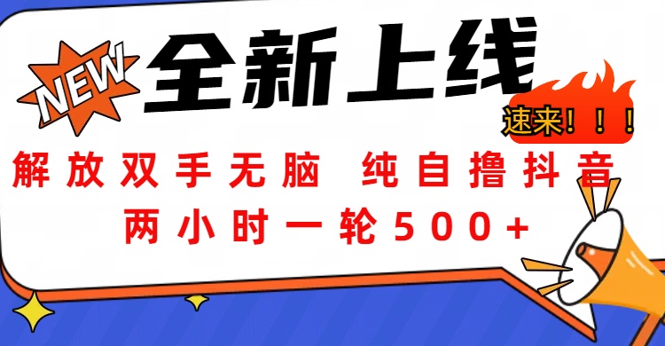 解放双手无脑 纯自撸抖音 两小时一轮500+-云峥科技网
