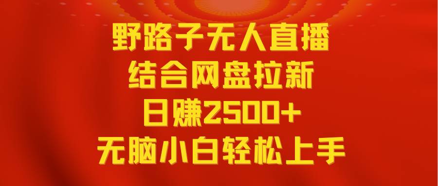 无人直播野路子结合网盘拉新，日赚2500+多平台变现，小白无脑轻松上手操作-云峥科技网